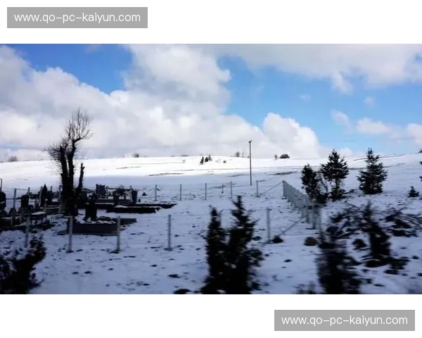 斯堪的纳维亚的宁静邂逅巴尔干的热情：瑞典与保加利亚的文化风情之旅